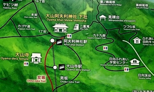 山药玉米汁功效与作用窍门-山药玉米汁的功效网 | 山药玉米汁功效与作用窍门,山药玉米排骨汤的功效