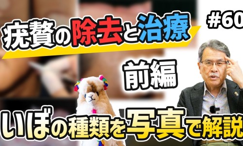 山药玉米汁功效与作用窍门-山药玉米汁的功效网 | 山药玉米汁功效与作用窍门,山药玉米排骨汤的功效